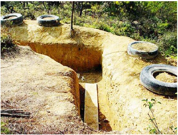 武龙野战营图片