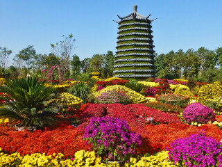 北京国际鲜花港