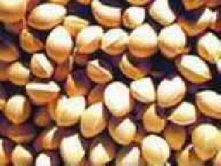 湖州长兴大唐贡茶院