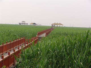 鼎翔生态旅游区