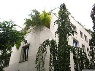 玛莱·斯蒂温大街