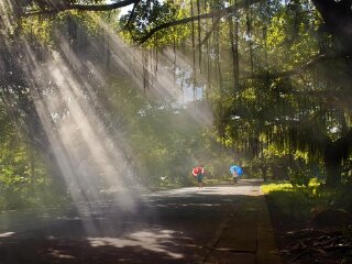 三岭山国家森林公园