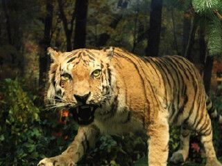 长白山自然博物馆