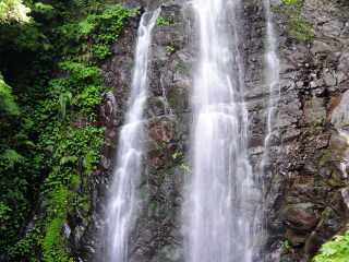 满月圆森林游乐区