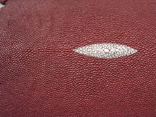 博纳旺蒂尔鱼皮专卖店