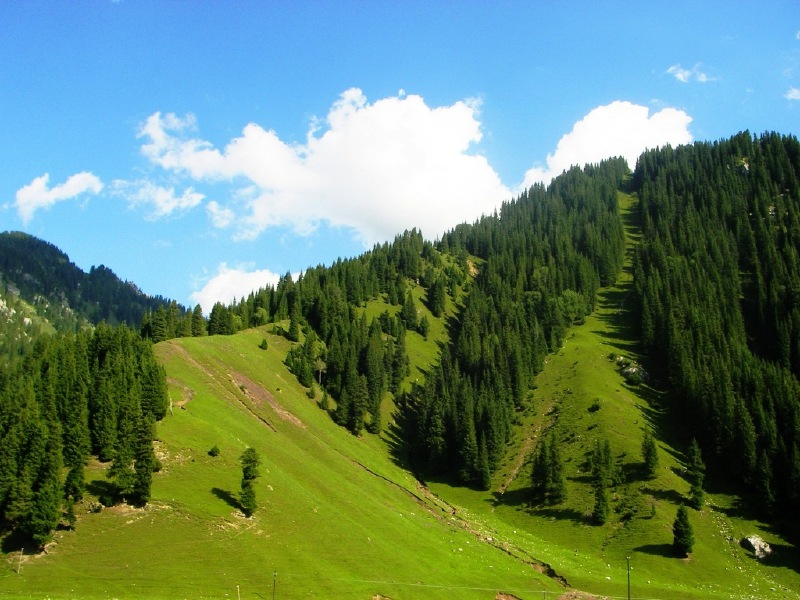 伊犁霍城县旅游图片
