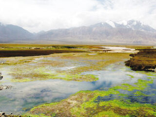 肃北蒙古族自治县