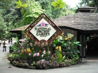 新加坡国家兰花园