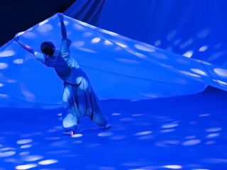 大连武术博物馆太极秀