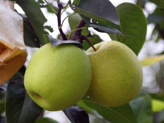 昆山星期九休闲农庄