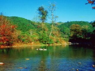 九龙江国家森林公园