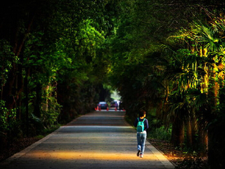 同里国家湿地公园