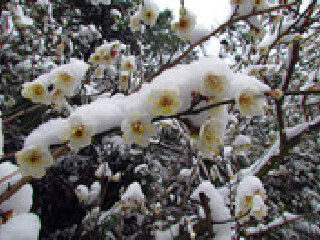 沾益县珠江源风景区