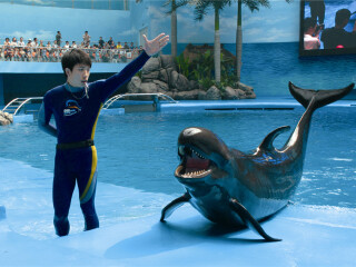 成都海昌极地海洋公园