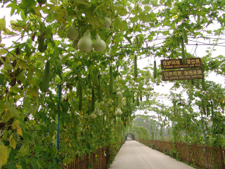 鼎翔生态旅游区