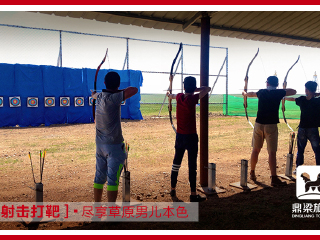 鼎梁羊驼主题乐园