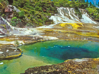 罗托鲁瓦奥拉基科拉可地热区