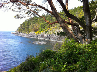 东苏克地区公园