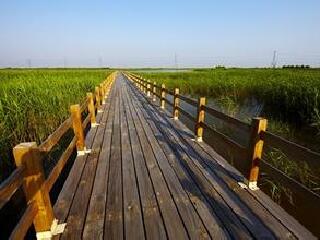 杭州湾湿地公园