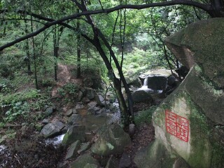 波尔登森林公园