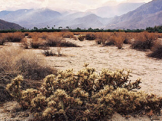 圣安德烈亚斯断层