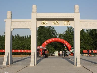 夏津黄河故道森林公园