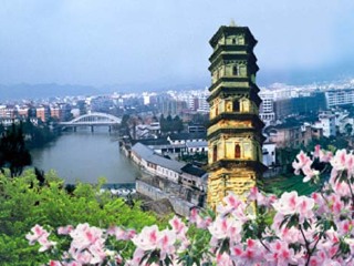大余县