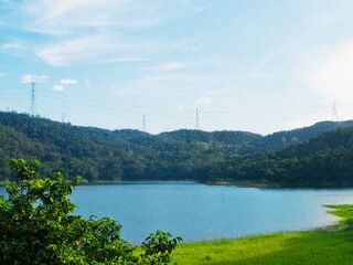 渔父村森林公园