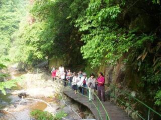 湖州安吉白茶谷九龙峡