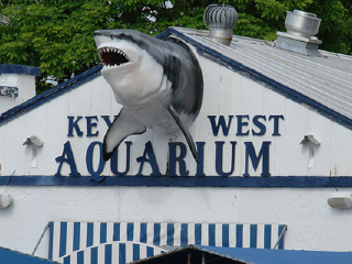 基韦斯特岛水族馆