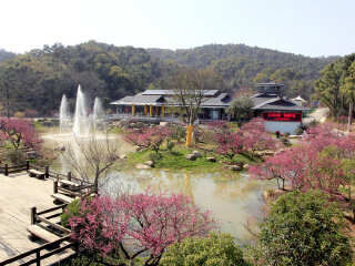 湖州古木艺术馆