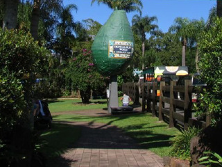 黄金海岸热带水果世界