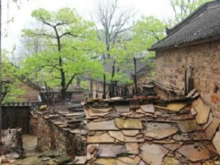 香木河自然保护区