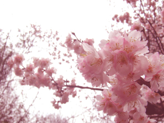 三峡湿地·杨守敬书院风景名胜区
