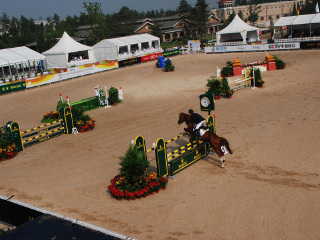 朝阳公园青少年马术培训中心