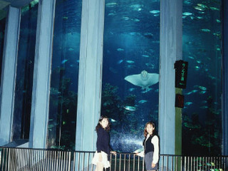 东海大学海洋科学博物馆