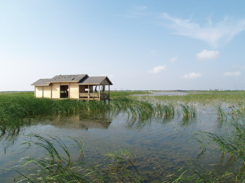 杭州湾湿地公园