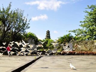 海南热带飞禽世界