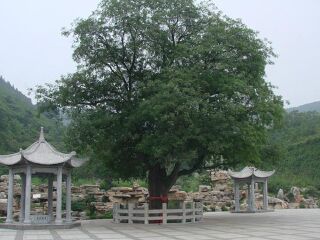 子房洞文化旅游生态园