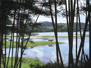 河源东江画廊景区