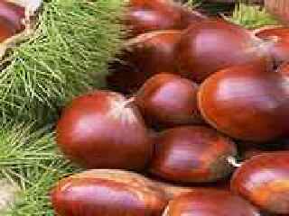 湖州长兴大唐贡茶院