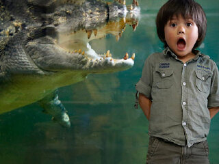 巴拉瑞特野生动物园