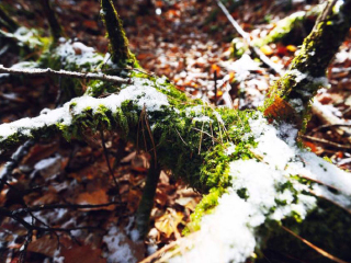 长白山原生态戏冬游乐景区