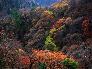 历山皇姑幔景区