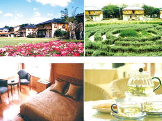 君达香草健康世界