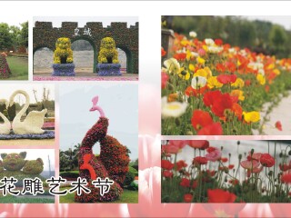 重庆花样龙水湖