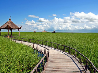 当奈湿地人居生态村