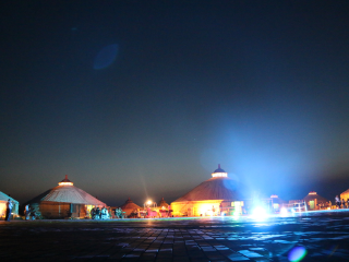 上海庙马兰花草原