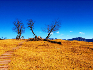 雅安宝兴神木垒景区