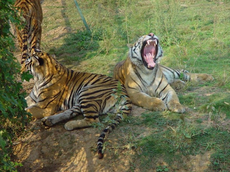 珍珠泉野生動物生態園門票價格-珍珠泉野生動物生態園門票預訂-珍珠泉